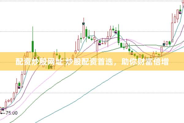 配资炒股网址 炒股配资首选，助你财富倍增