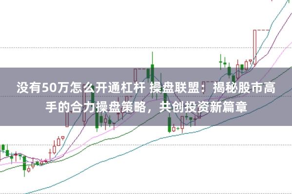 没有50万怎么开通杠杆 操盘联盟：揭秘股市高手的合力操盘策略，共创投资新篇章