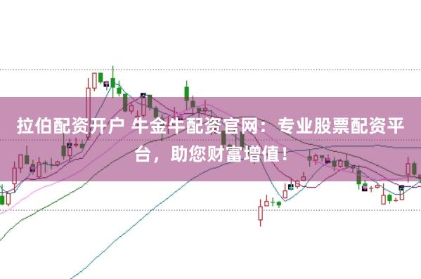 拉伯配资开户 牛金牛配资官网：专业股票配资平台，助您财富增值！